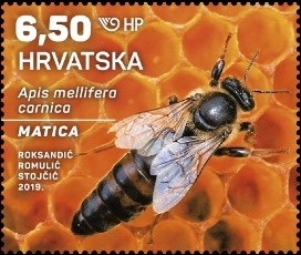 HRVATSKA FAUNA – SIVA PČELA, matica