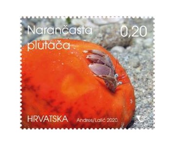 HRVATSKO PODMORJE IV., Narančasta plutača 