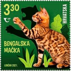 DJEČJI SVIJET – MAČKE 3, Bengalska mačka