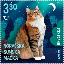 DJEČJI SVIJET – MAČKE 3, Norveška šumska mačka 