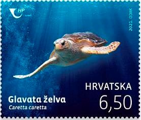 HRVATSKA FAUNA - GLAVATA ŽELVA