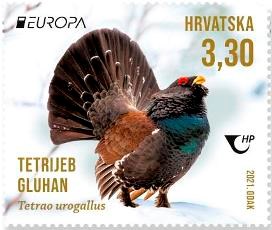 EUROPA – UGROŽENE ŽIVOTINJSKE VRSTE, tetrijeb gluhan