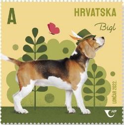 DJEČJI SVIJET – KUĆNI LJUBIMCI, PSI 3 - Bigl