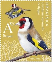 BIRDPEX – zaštićene vrste ptica, češljugar