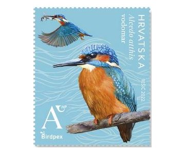 BIRDPEX – zaštićene vrste ptica, vodomar