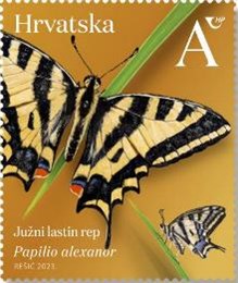 HRVATSKA FAUNA – LEPTIRI, južni lastin rep