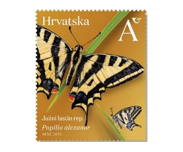 HRVATSKA FAUNA – LEPTIRI, južni lastin rep