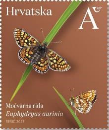 HRVATSKA FAUNA – LEPTIRI, močvarna riđa