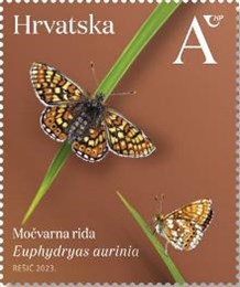 HRVATSKA FAUNA – LEPTIRI, močvarna riđa