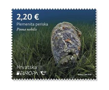 EUROPA – Podmorska flora i fauna, Plemenita periska 