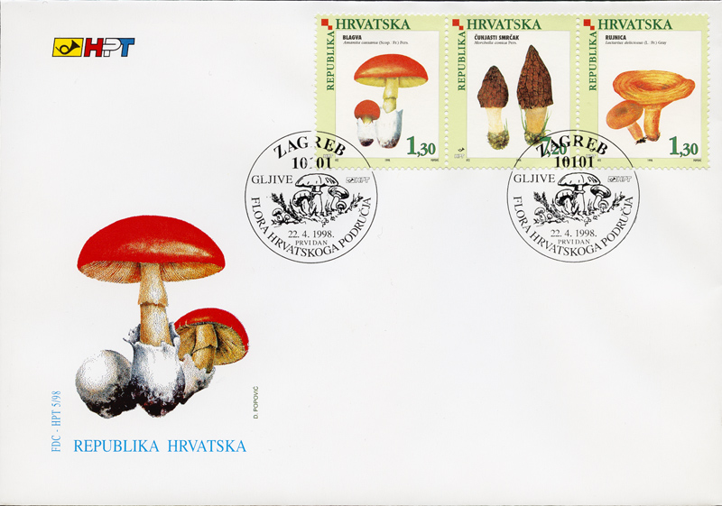 FLORA HRVATSKOGA PODRUČJA IV. - GLJIVE