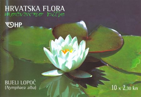HRVATSKA FLORA  - Bijeli lopoč 