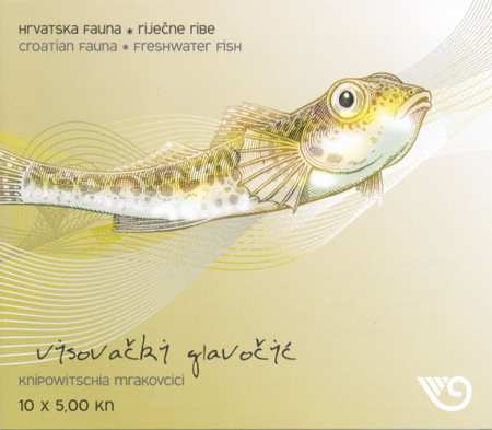 HRVATSKA FAUNA – RIJEČNE RIBE -VISOVAČKI GLAVOČIĆ