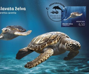 HRVATSKA FAUNA - GLAVATA ŽELVA