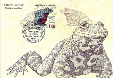 HRVATSKA FAUNA - VODOZEMCI, Crveni mukač 