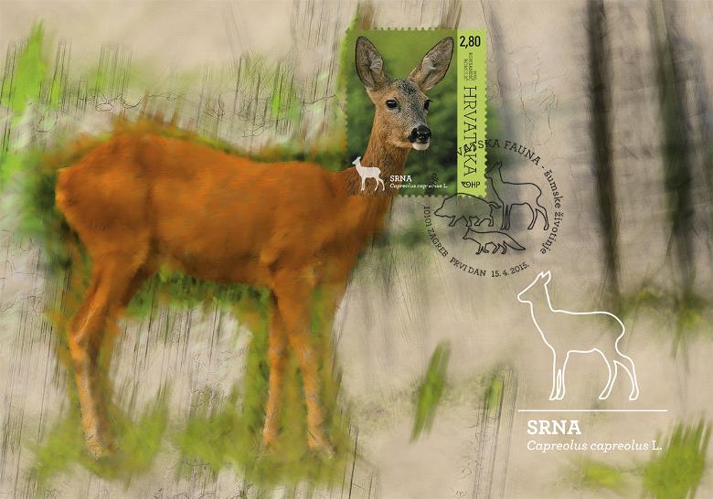 HRVATSKA FAUNA – ŠUMSKE ŽIVOTINJE, SRNA