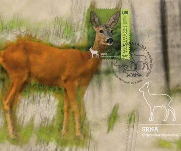 HRVATSKA FAUNA – ŠUMSKE ŽIVOTINJE, SRNA