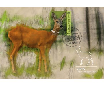 HRVATSKA FAUNA – ŠUMSKE ŽIVOTINJE, SRNA