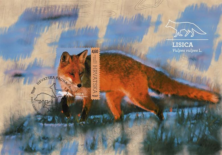 HRVATSKA FAUNA – ŠUMSKE ŽIVOTINJE, LISICA