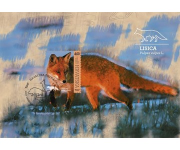 HRVATSKA FAUNA – ŠUMSKE ŽIVOTINJE, LISICA