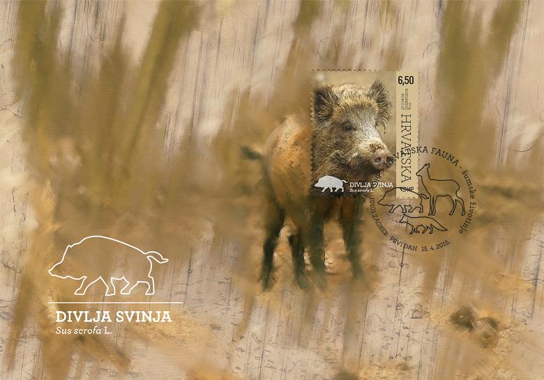 HRVATSKA FAUNA – ŠUMSKE ŽIVOTINJE, DIVLJA SVINJA