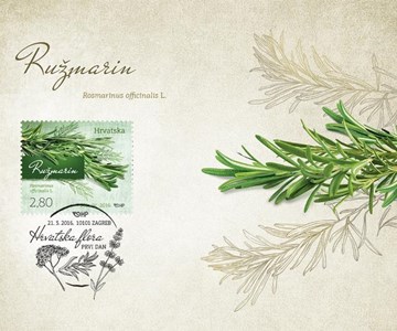 HRVATSKA FLORA - RUŽMARIN