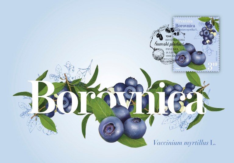 HRVATSKA FLORA - Borovnica