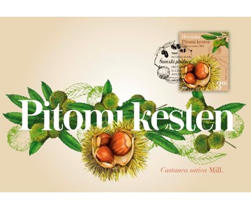 HRVATSKA FLORA - Pitomi kesten