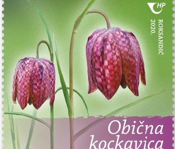 Obična kockavica (Fritillaria meleagris L.)