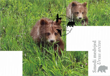 HRVATSKA FAUNA - Smeđi medvjed