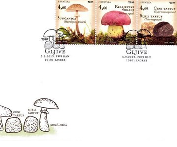 GLJIVE 
