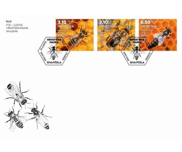HRVATSKA FAUNA – SIVA PČELA