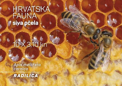 HRVATSKA FAUNA – SIVA PČELA, radilica