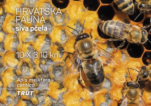 HRVATSKA FAUNA – SIVA PČELA, trut