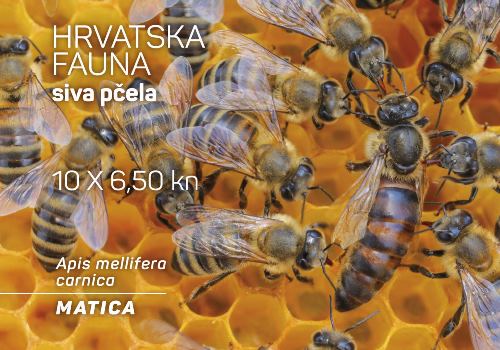 HRVATSKA FAUNA – SIVA PČELA, matica