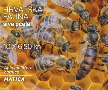 HRVATSKA FAUNA – SIVA PČELA, matica