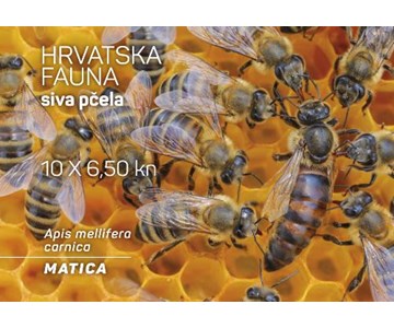 HRVATSKA FAUNA – SIVA PČELA, matica