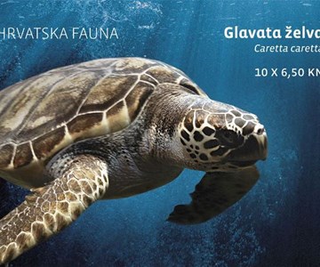 HRVATSKA FAUNA - GLAVATA ŽELVA