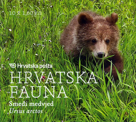 HRVATSKA FAUNA - Smeđi medvjed