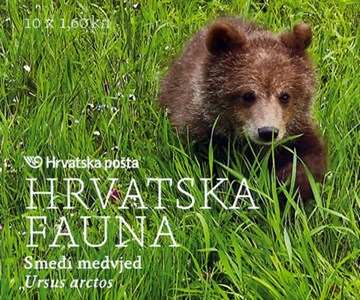 HRVATSKA FAUNA - Smeđi medvjed