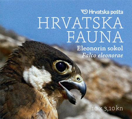HRVATSKA FAUNA - Eleonorin sokol