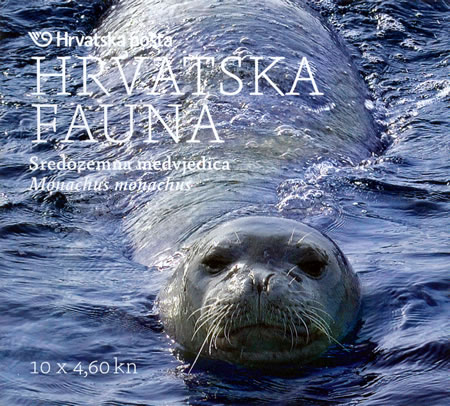 HRVATSKA FAUNA - Sredozemna medvjedica