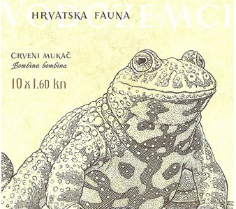 HRVATSKA FAUNA - VODOZEMCI, Crveni mukač 