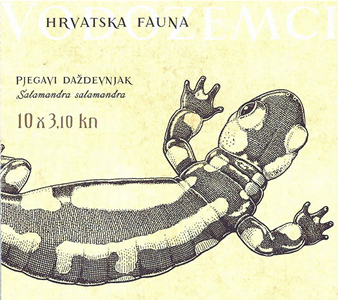 HRVATSKA FAUNA - VODOZEMCI, Pjegavi daždevnjak 