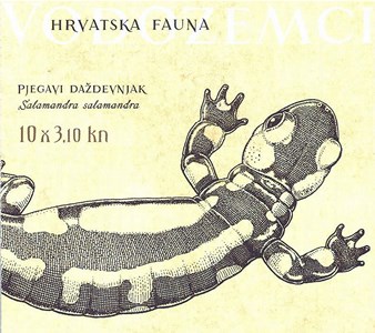 HRVATSKA FAUNA - VODOZEMCI, Pjegavi daždevnjak 