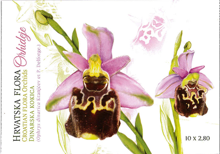 HRVATSKA FLORA – ENDEMIČNE ORHIDEJE, Dinarska kokica (karnet)