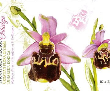 HRVATSKA FLORA – ENDEMIČNE ORHIDEJE, Dinarska kokica (karnet)