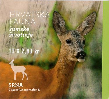 HRVATSKA FAUNA – ŠUMSKE ŽIVOTINJE, SRNA