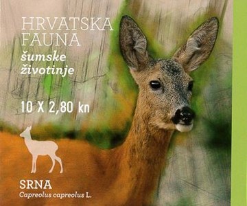 HRVATSKA FAUNA – ŠUMSKE ŽIVOTINJE, SRNA