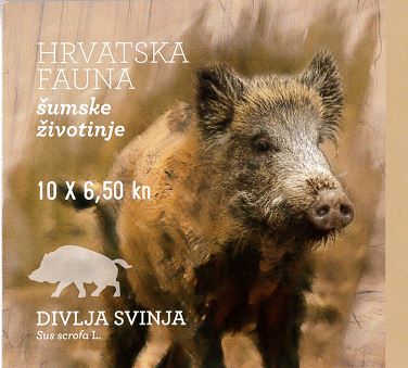 HRVATSKA FAUNA – ŠUMSKE ŽIVOTINJE, DIVLJA SVINJA